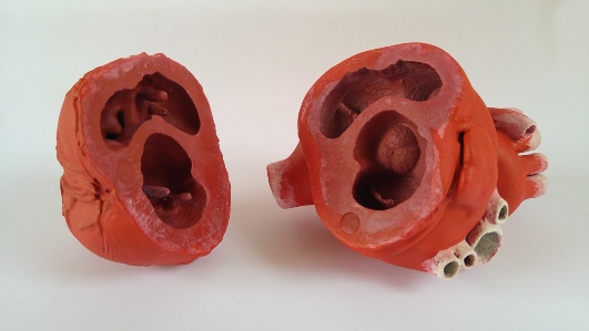 Coração Partido Serviço de Impressão 3D da Inovação 3D